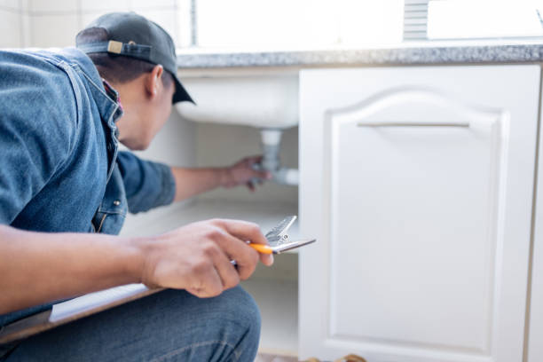 Best Commercial Plumbing Services  in Norris City, IL